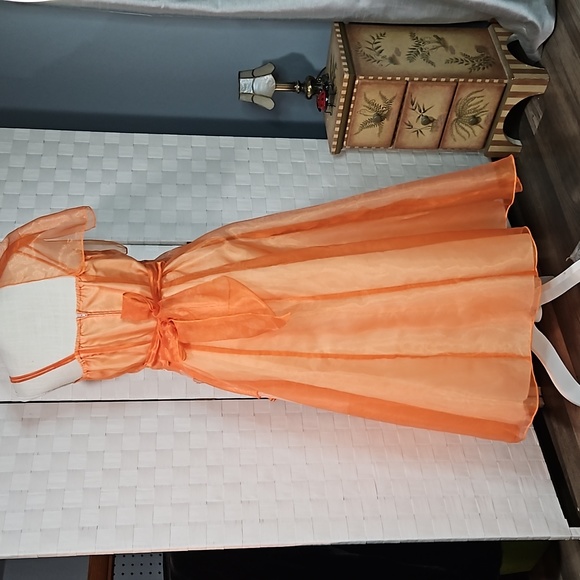 Dress Size 14- Formal Sheer Apricot Color  Embellished Dress - Picture 5 of 8